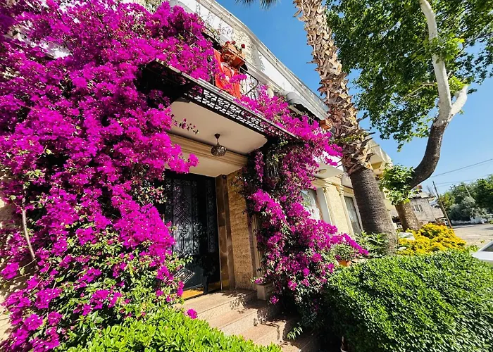 Saint John Hotel
